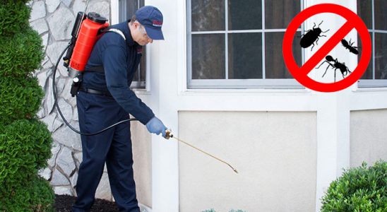 Seydikemer Fare İlaçlama böcek ilaçlama ve haşere kontrolü — ilaclama-tr.com